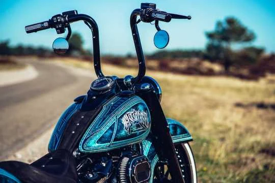 Lenker El Toxico 1.25" Edelstahl 3 Lenker El Toxico 1.25" Edelstahl – Bild 3