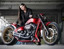 Gabel Grand Prix -Thunderbike 61 74 040v 42