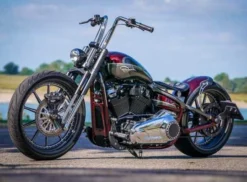 Gabel Radical 2.0 -Thunderbike 61 74 130 2a