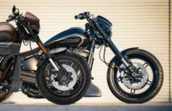 Gabel Umbau Tieferlegung Destruction