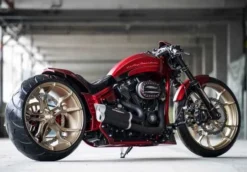 Einarmschwingen Umbau Kit 21" Alu -Thunderbike 66 74 030 3a3