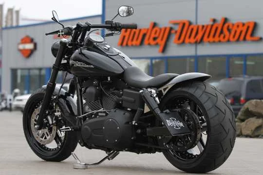 Schwingen Kit Dyna 260 2 Schwingen Kit Dyna 260 – Bild 2