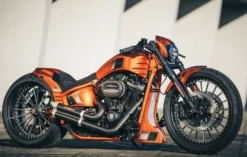 Bugspoiler GP Style Long -Thunderbike 74 74 010 21